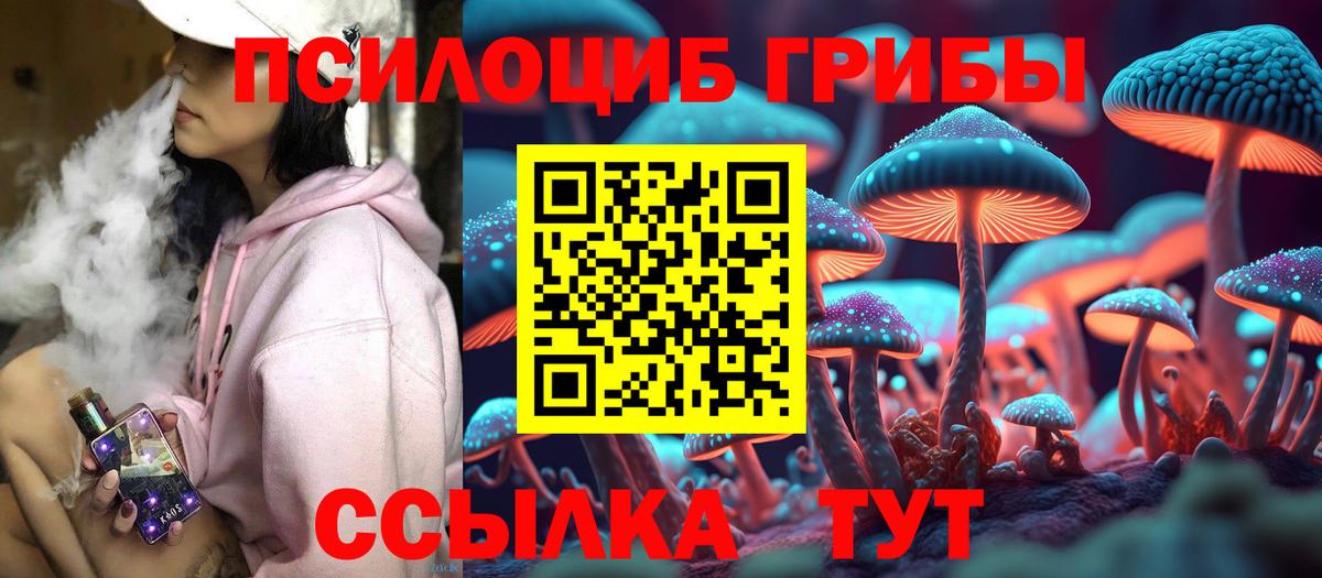Псилоцибиновые грибы GOLDEN TEACHER  Псилоцибиновые грибы Magic Shrooms  Нарткала  Вход с VPN 